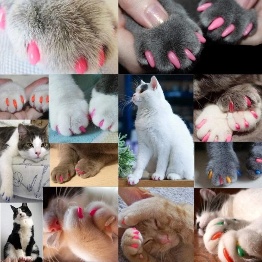 140pcs Cat Nail Caps, Soft Claws Nail Covers Claws with Glue and Applicators